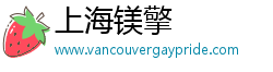 上海镁擎